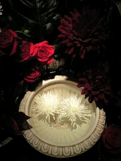 Rabery&Delphieu の画像